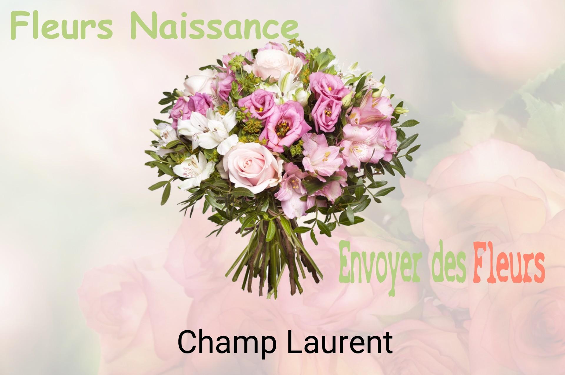Bouquet de fleurs de naissance livré à Champ-Laurent